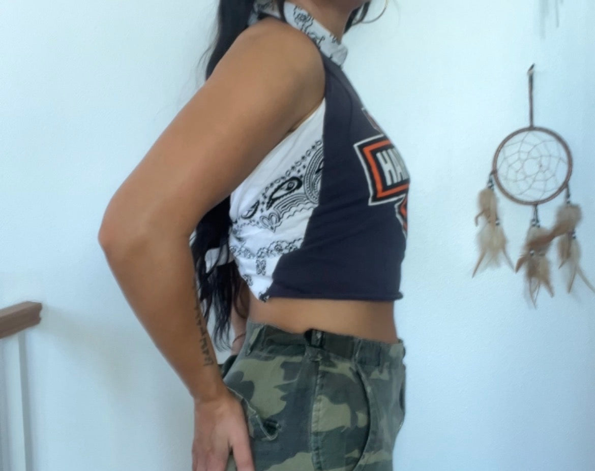 Harley Davidson (M)
