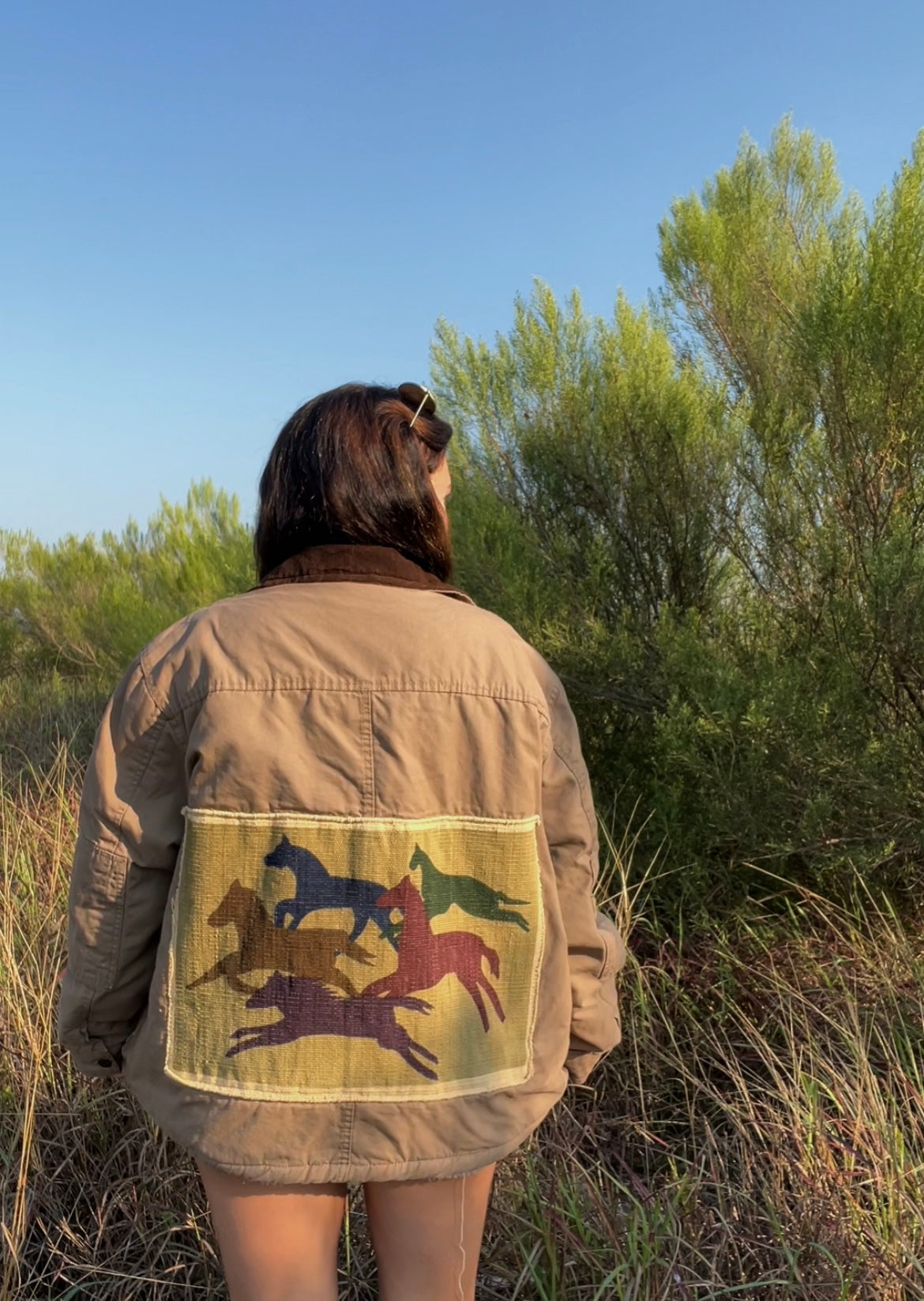 Wild Horses