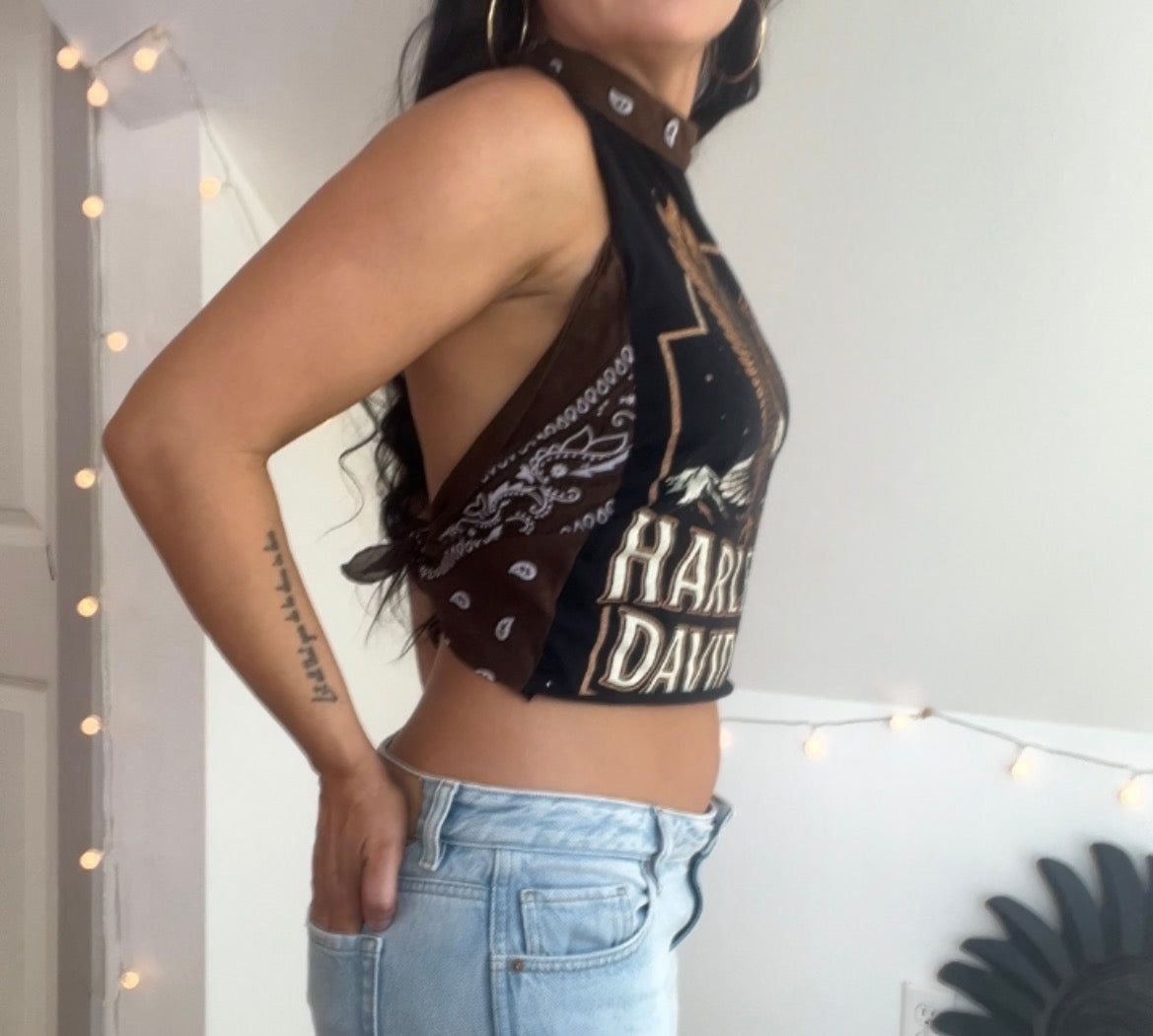 Harley Davidson (S)