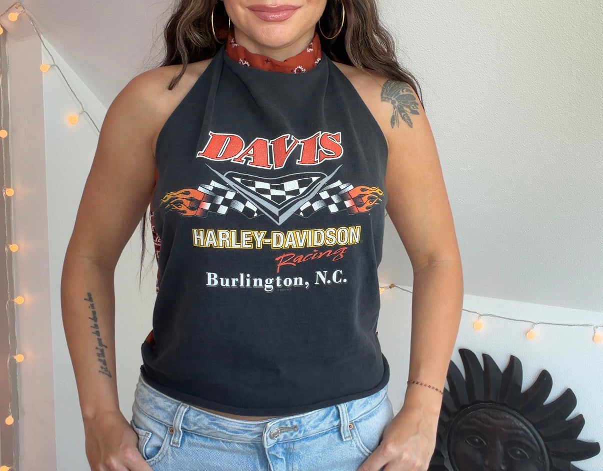 Harley Davidson (L)