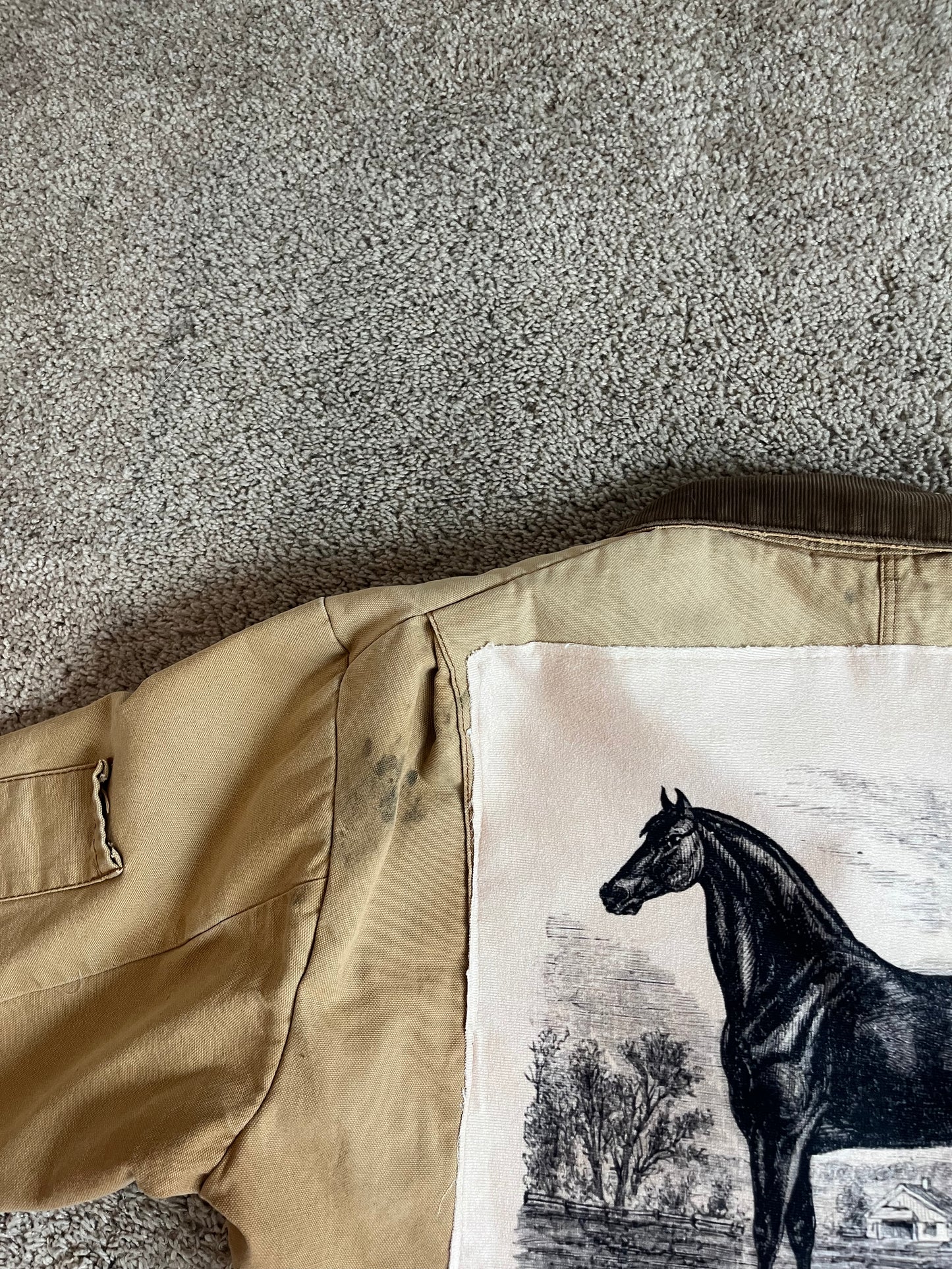 Dickies Horse jacket (MS)