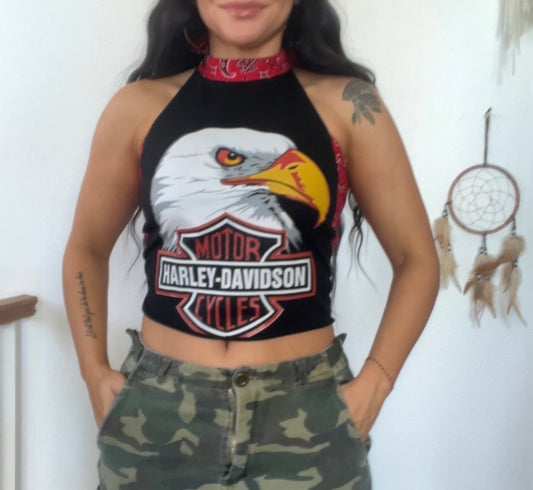 Harley Davidson (S)