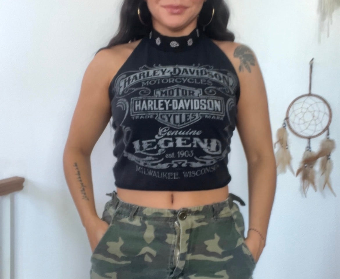 Harley Davidson (M)