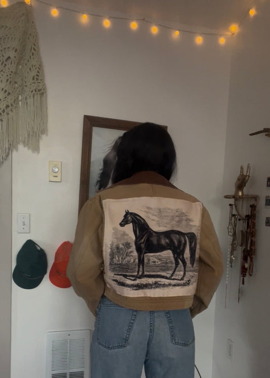 Carhartt Horse jacket (WM)
