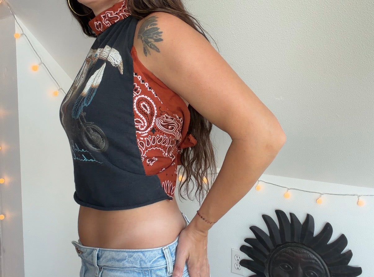 Harley Davidson (S)