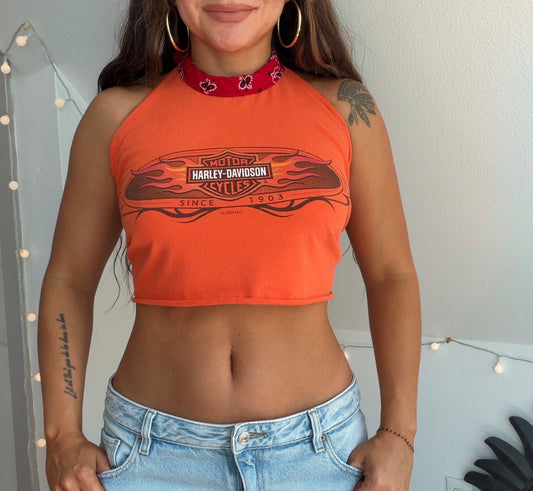 Harley Davidson