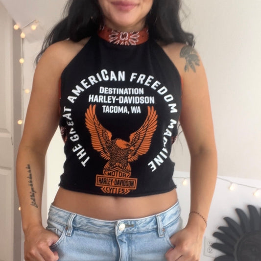 Harley Davidson (S)