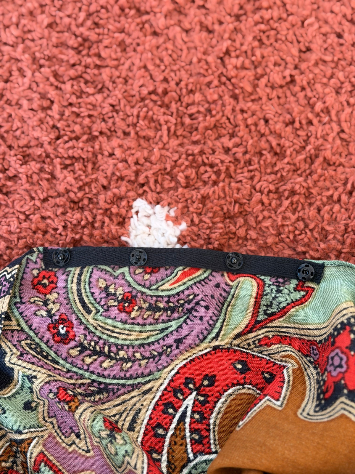 A Paisley Dream (M)