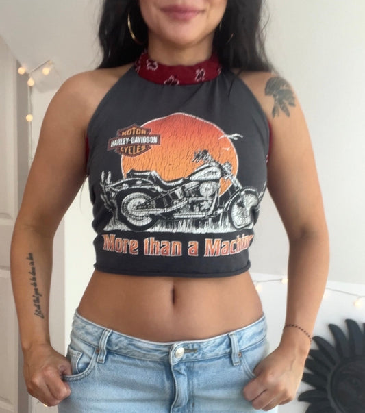 Harley Davidson (S)