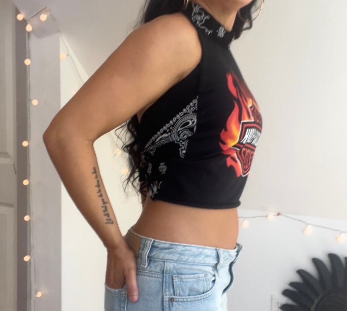 Harley Davidson (S)