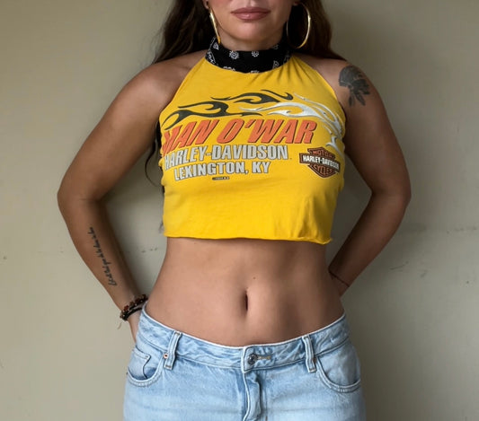 Harley Davidson (XS)