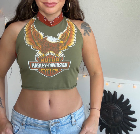 Harley Davidson (S)