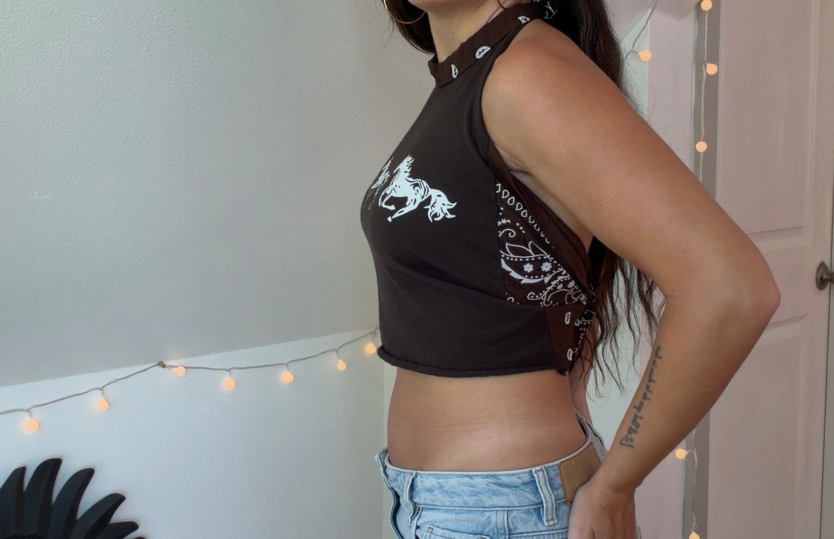 Wild Horses (S)