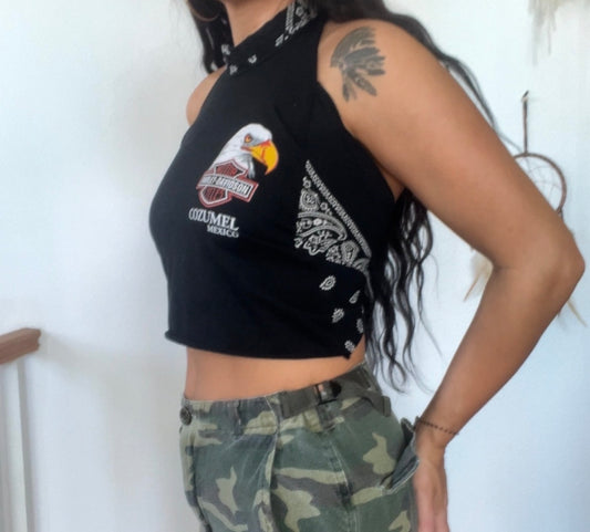 Harley Davidson (S)