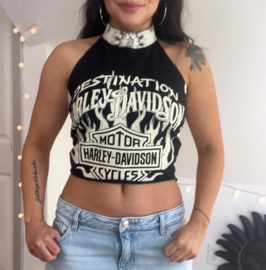 Harley Davidson (S)