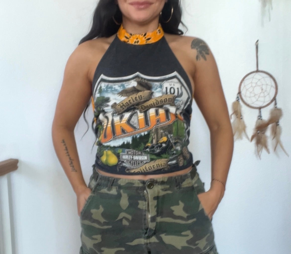 Harley Davidson (M)