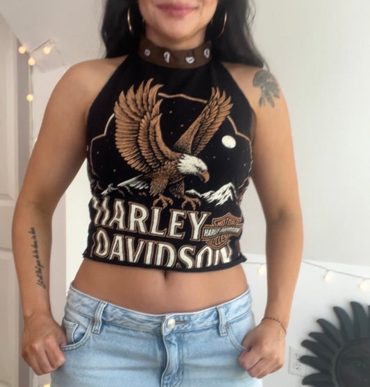 Harley Davidson (S)