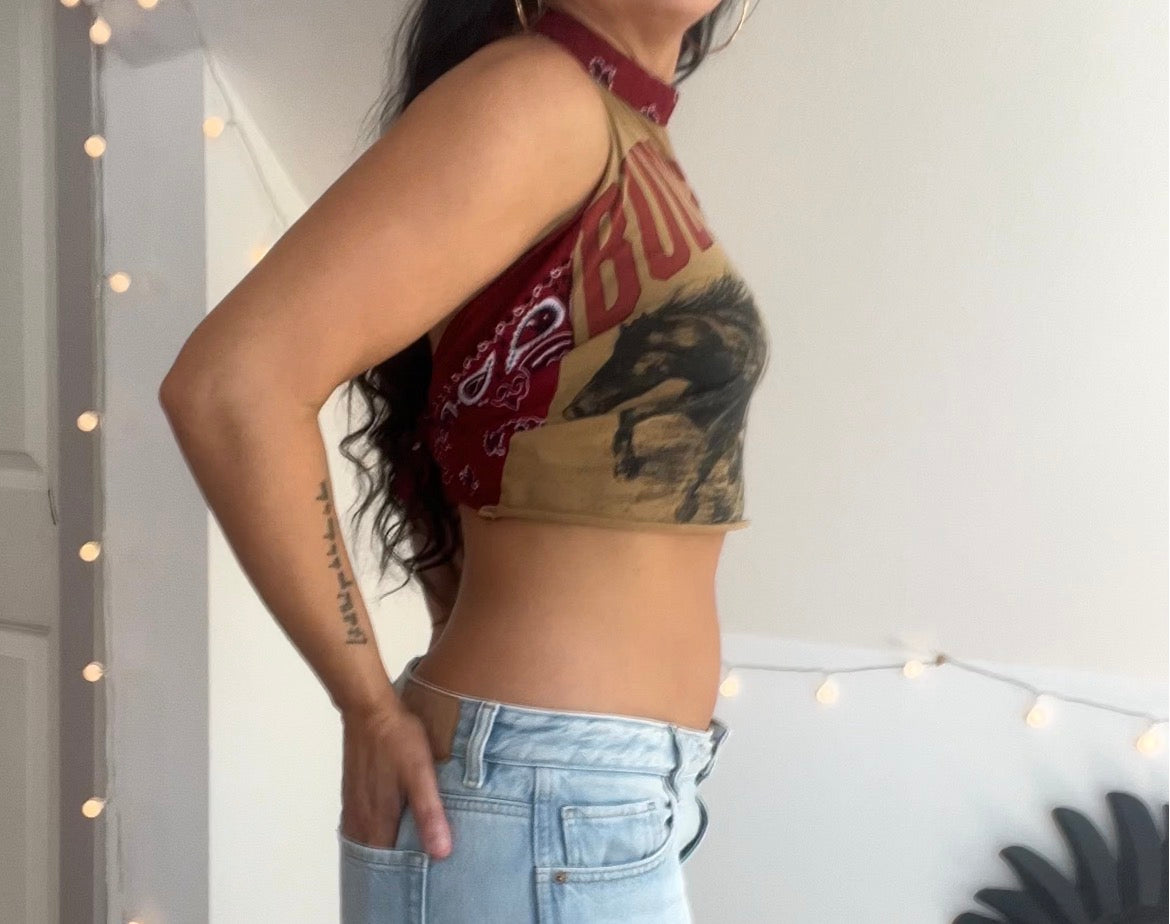Budweiser (S)
