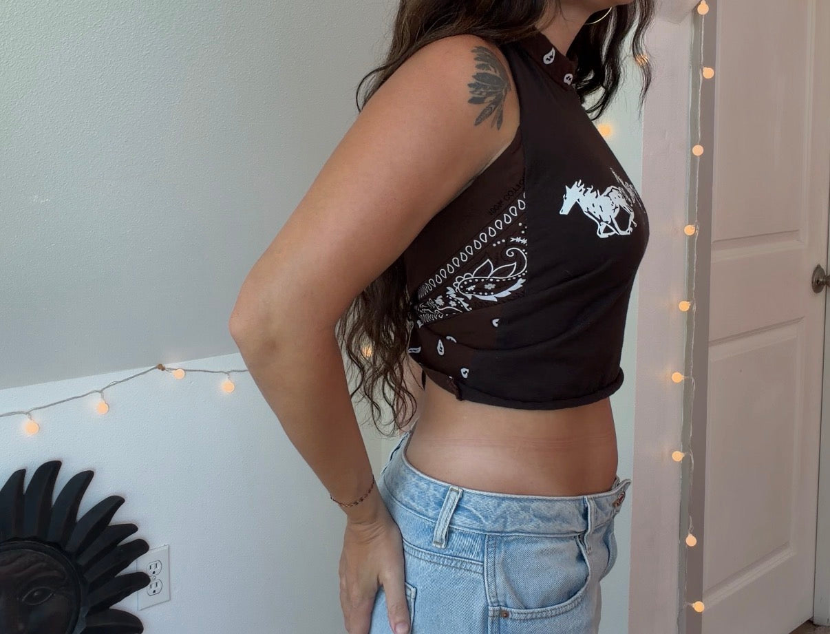 Wild Horses (S)