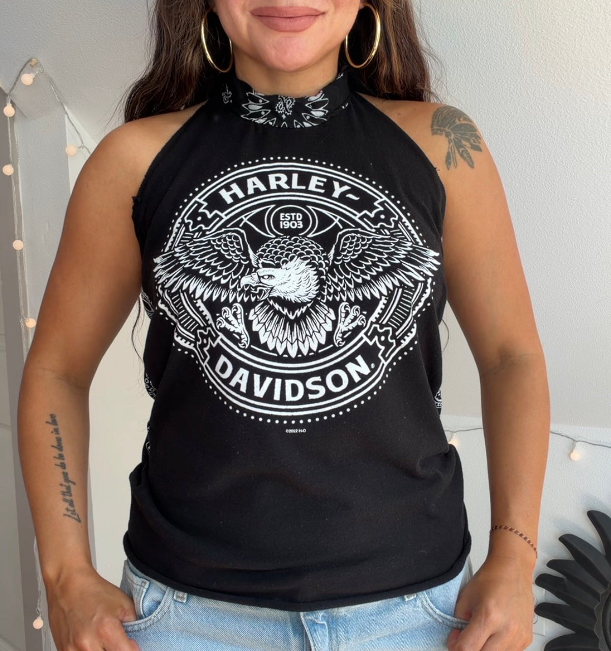Harley Davidson (L)