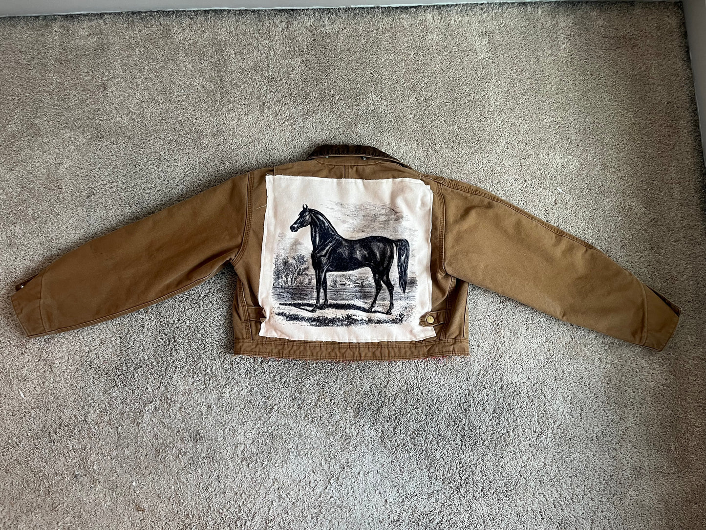 Carhartt Horse Jacket (WS)