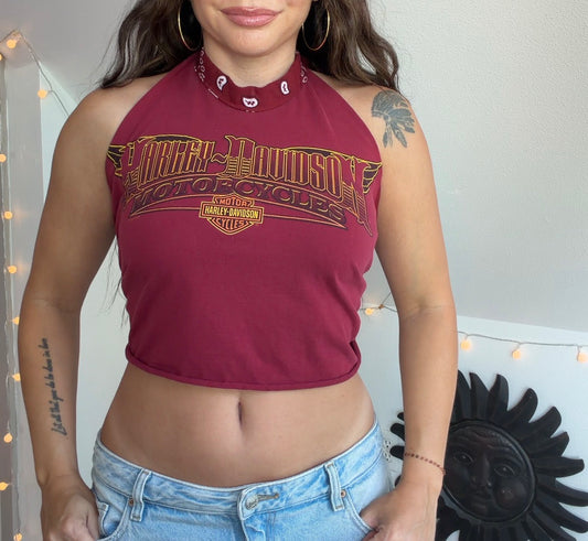 Harley Davidson (S)