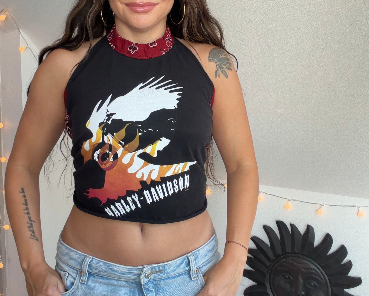 Harley Davidson (M)