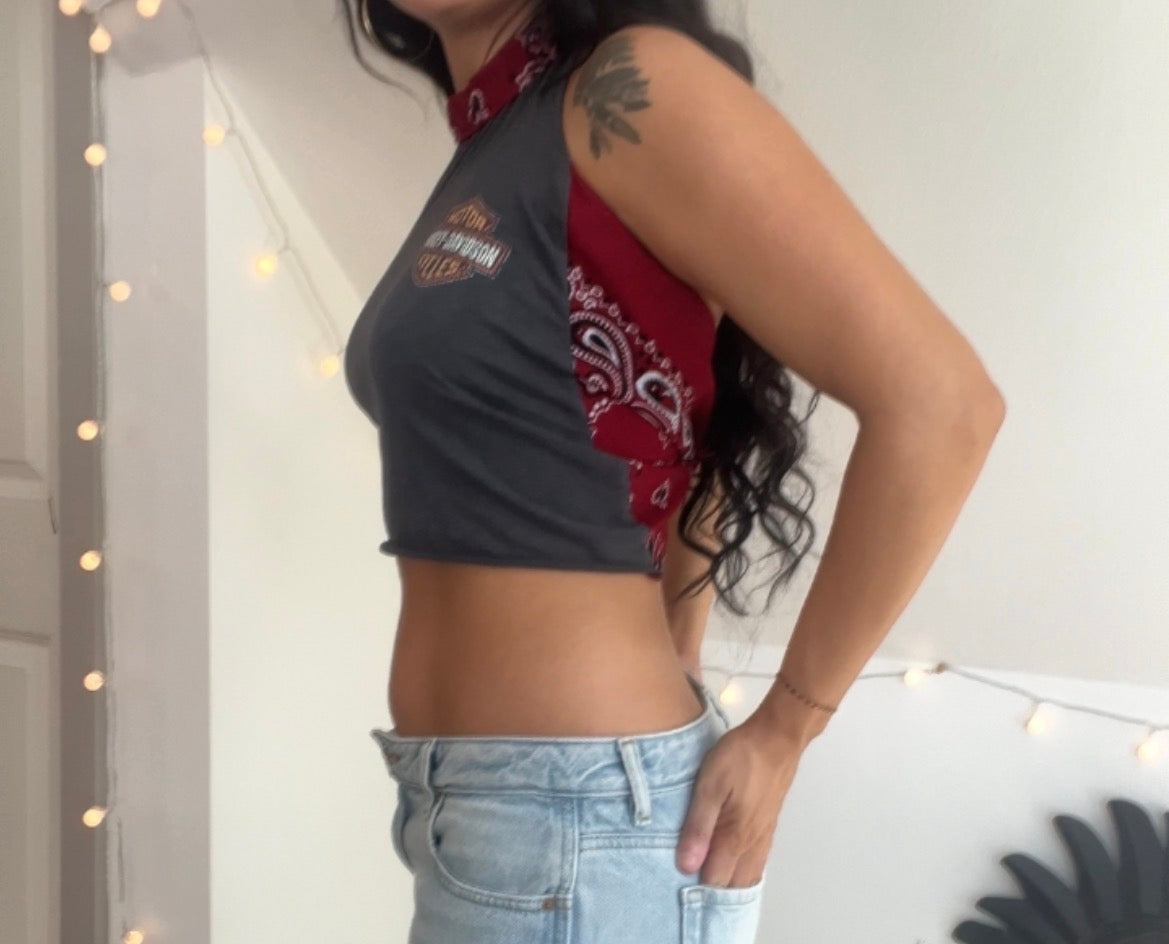 Harley Davidson (S)