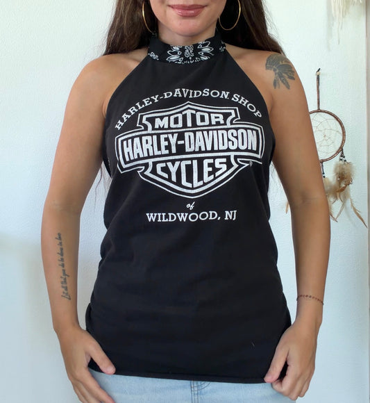 Harley Davidson (L)